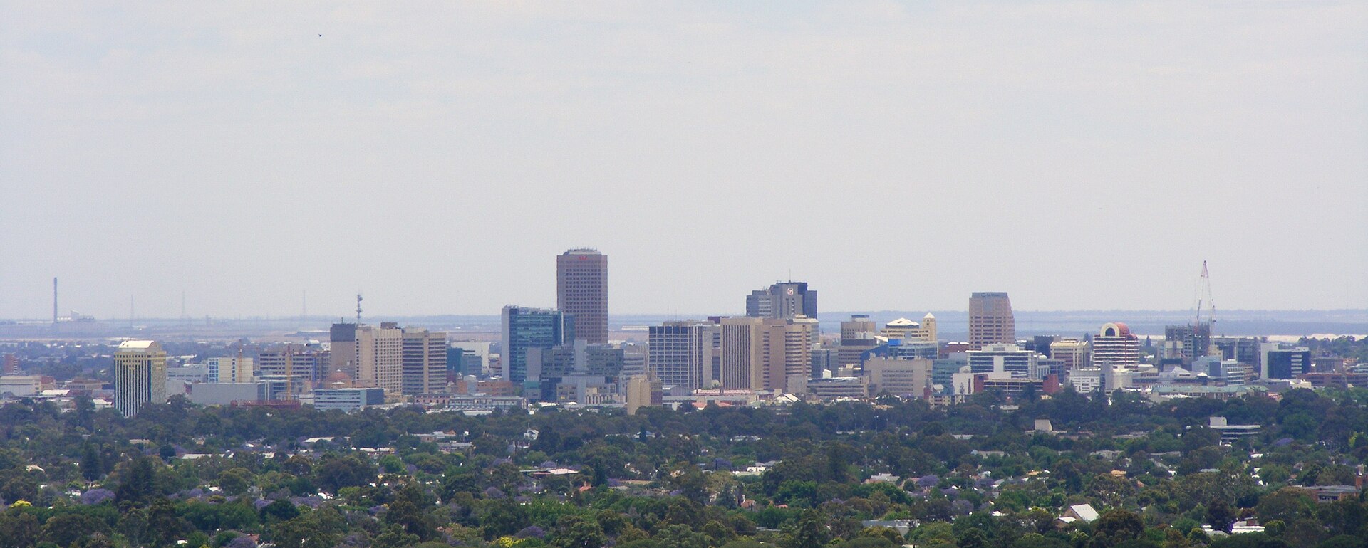 Adelaide skyline viewed from Carrick Hill