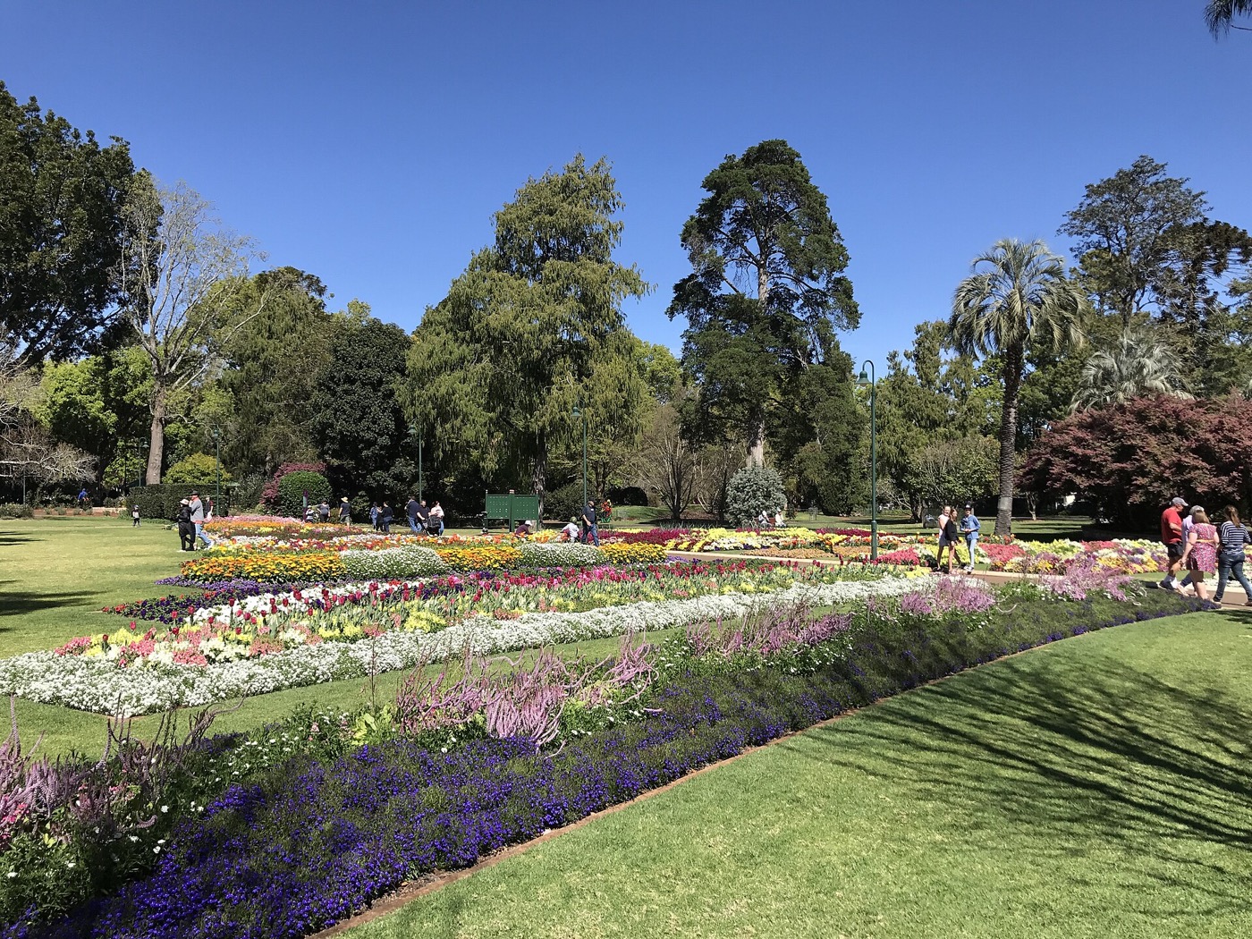 Detailed spring planting in Queens Park